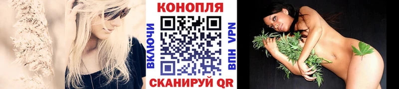 МАРИХУАНА планчик  Отрадный 